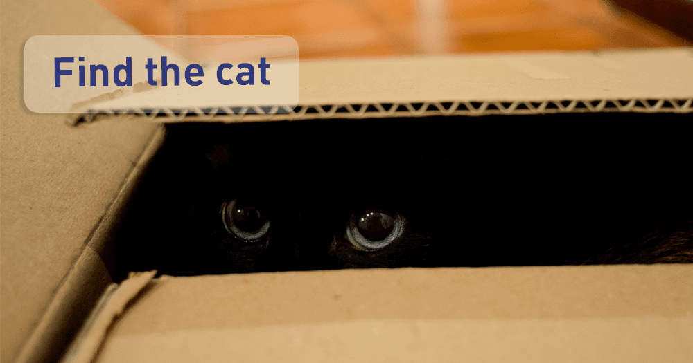 Why Do Cats Hide & What Can You Do About It?